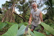 Fiji farmer